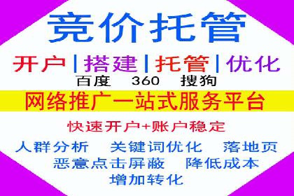 网络营销实战：成功竞价推广案例分析